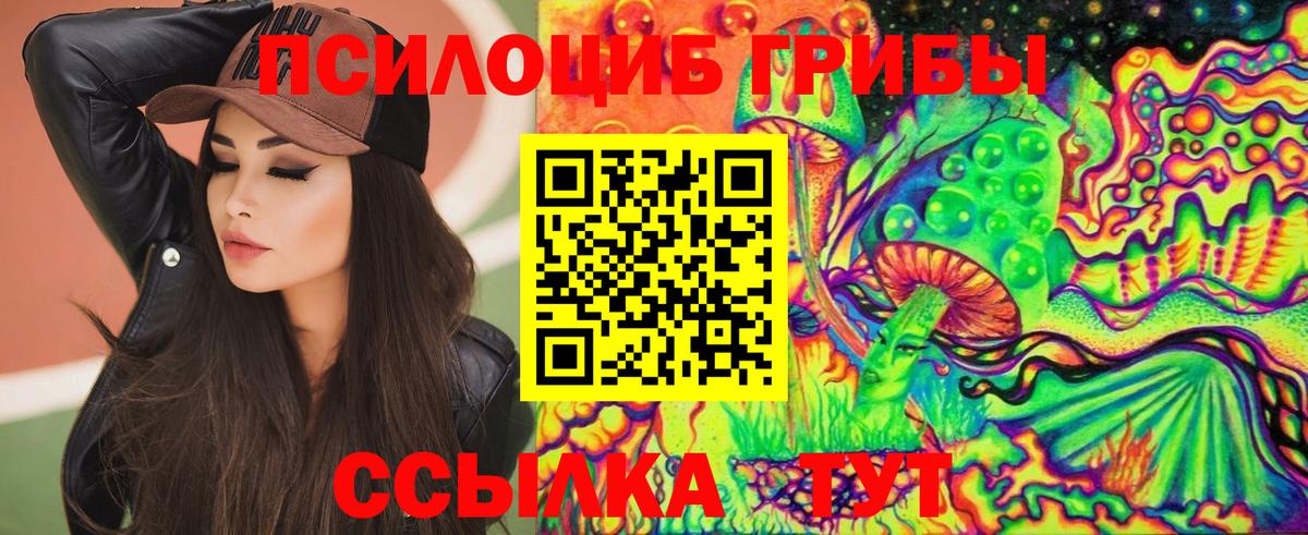 Галлюциногенные грибы Cubensis Чистополь